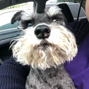 Meet your Posher, Olivia